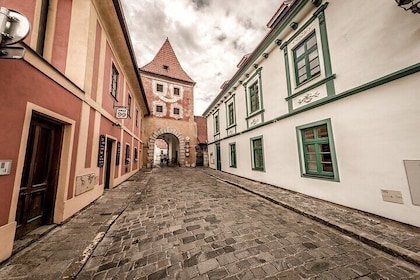 Explore Cesky Krumlov in 1 hour with a Local