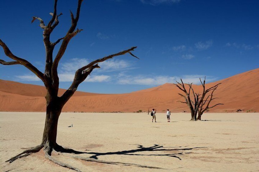 Explore Deadvlei and Sossusvlei and climb a dune or 2.