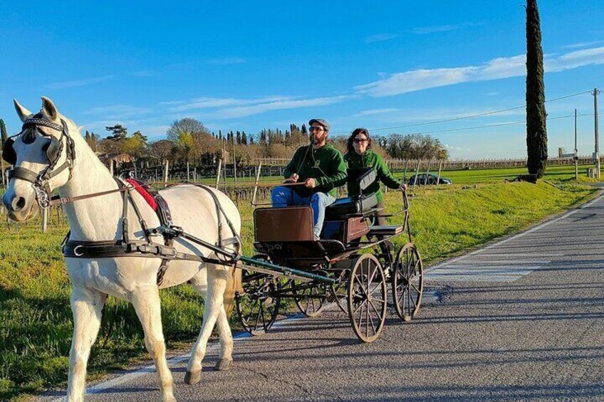 Horse Carriage Tour and Wine Tasting in Lazise