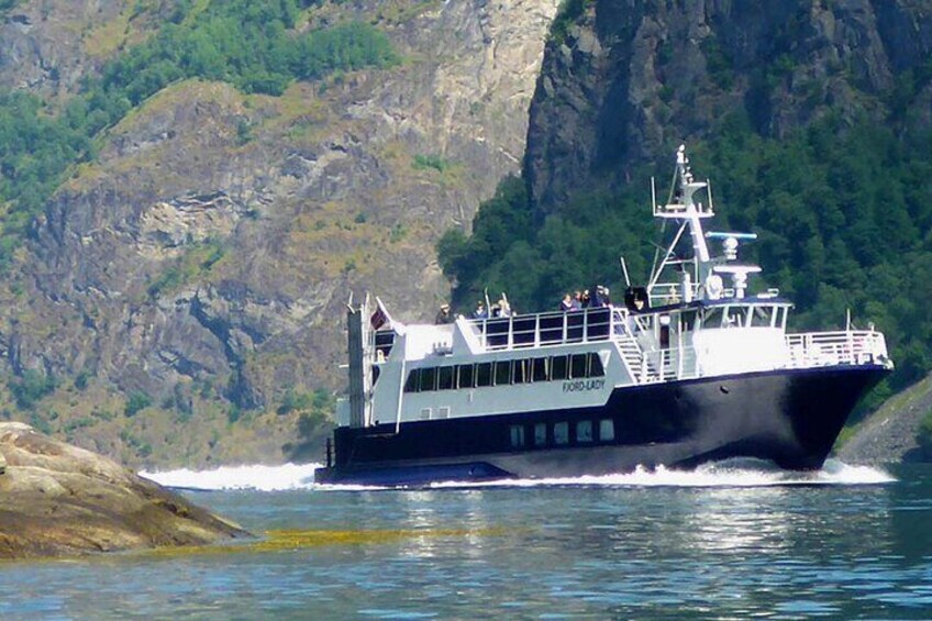 Fjord & Glacier Tours - Vik
