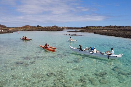 Hawaiian Canoe, Kayak and Surfski Tour