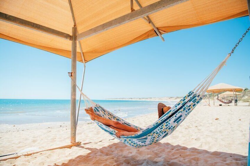 Eco Beach time