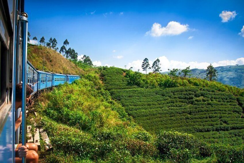 Nuwara Eliya from Kandy by Train 