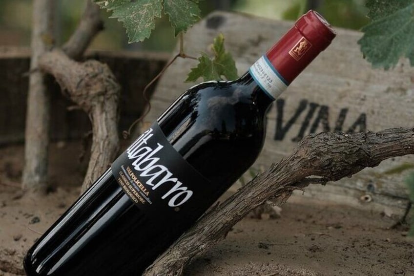 Valpolicella Classico Superiore "Iltabarro" Valentina Cubi