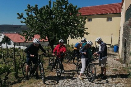 e-Bike Through Douro Valley Wine Region for Half Day Tour