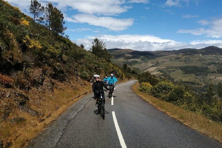 e-Bike Through Douro Valley Wine Region for Half Day Tour