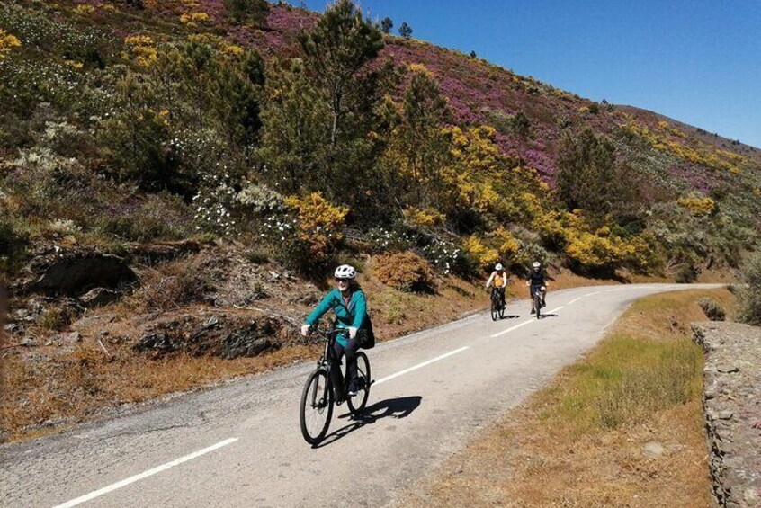 e-Bike Through Douro Valley Wine Region for Half Day Tour