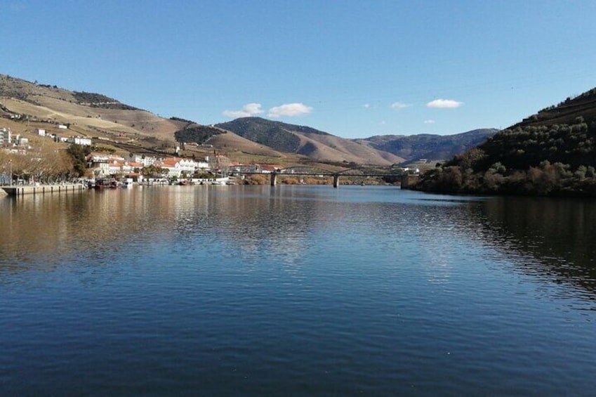 e-Bike Through Douro Valley Wine Region for Half Day Tour