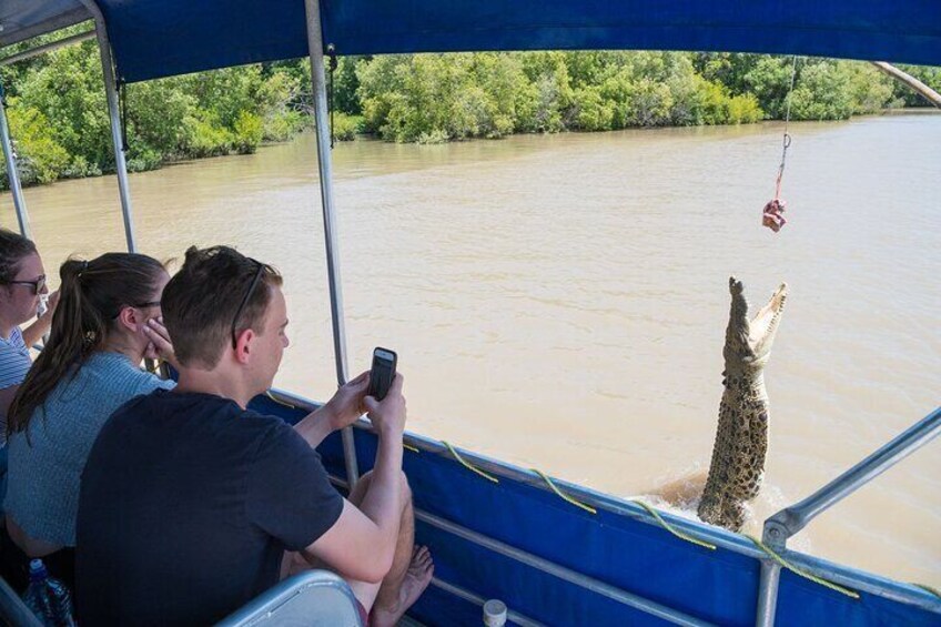 1a Jumping Crocodile Cruise, Natural Swimming Pool & Art Lesson