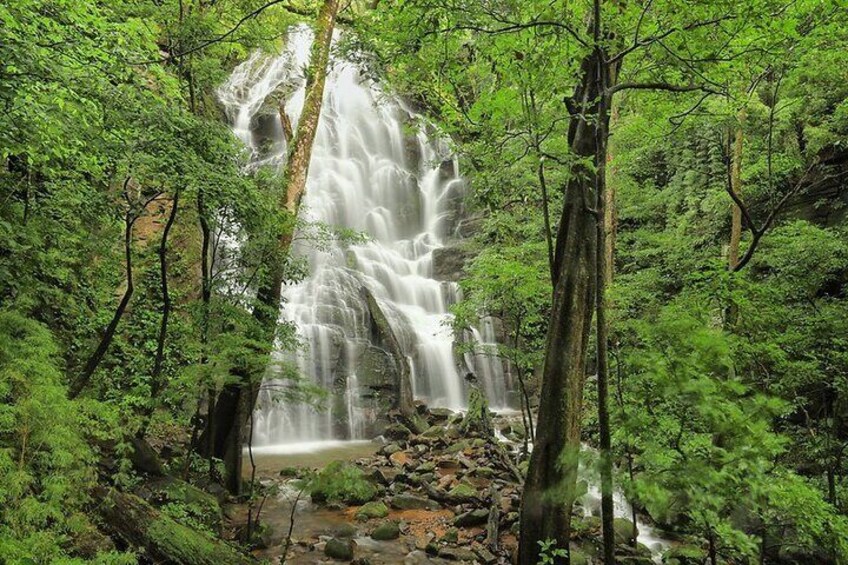 Seasonal Waterfall 
