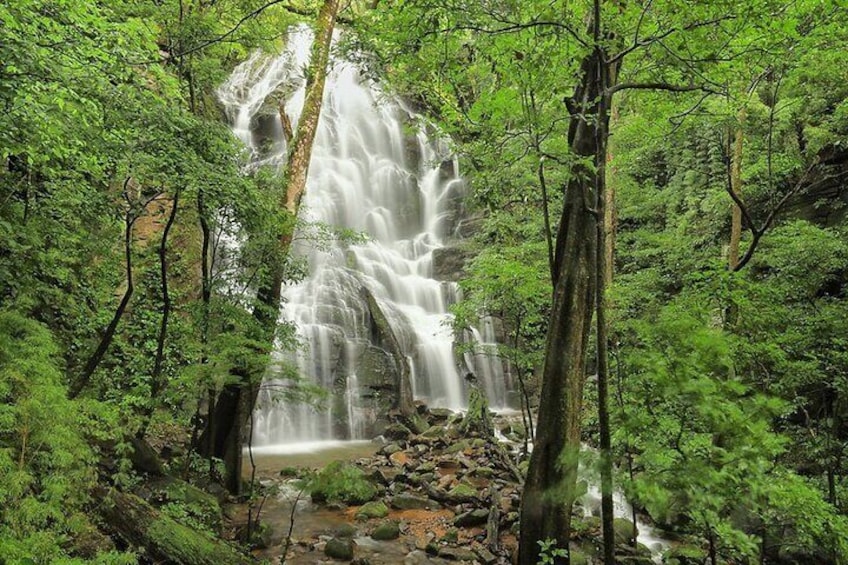 Seasonal Waterfall