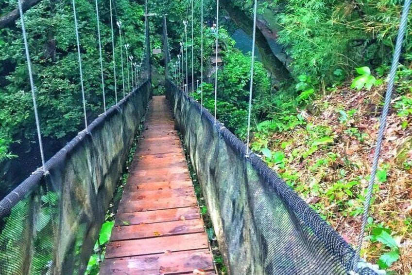 Oropendola Waterfall Bridge