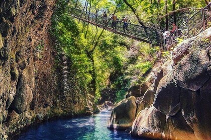 Rincon de la Vieja National Park Hike - All in ONE experience