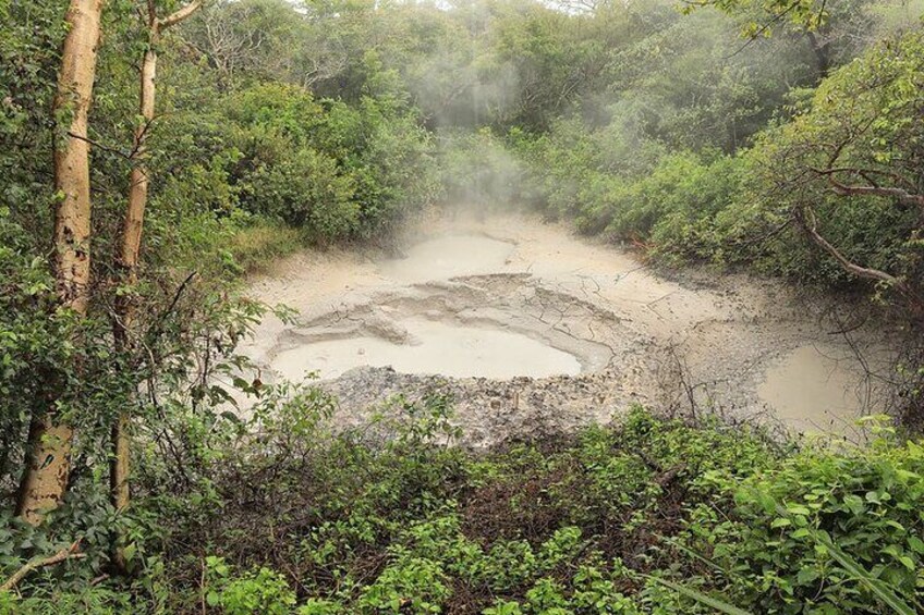 Mud Pots
