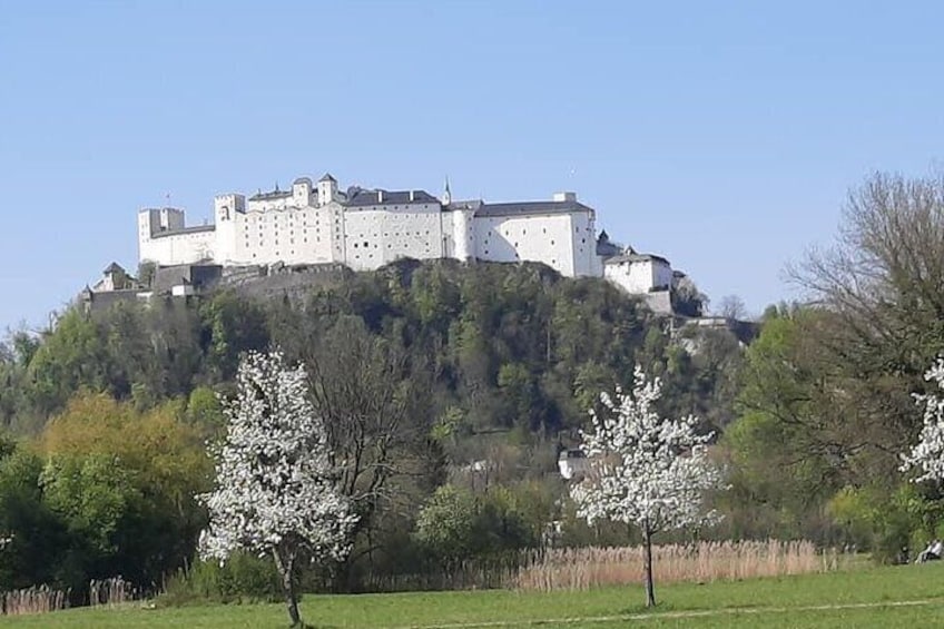 the fortress of Salzburg