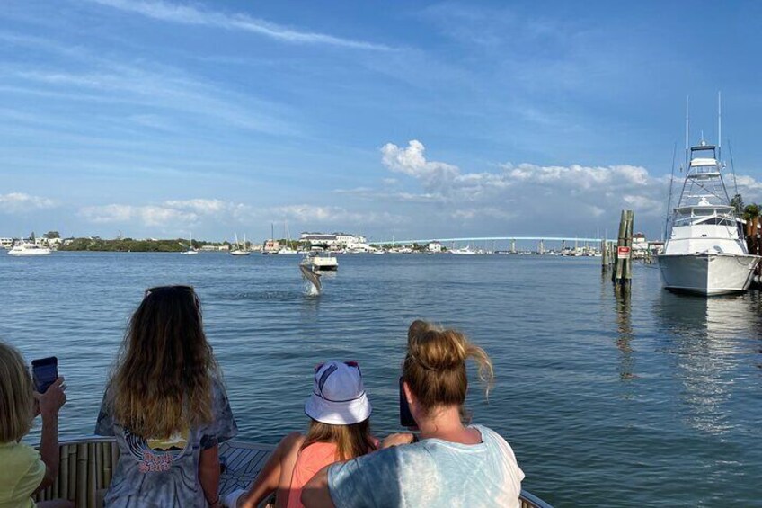 Sunset and Dolphin Cruise around Fort Myers Beach