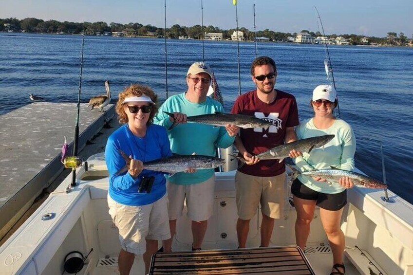 3-Hr Dolphin Tour & Inshore Fishing Adventure (Flowing Water Charters)