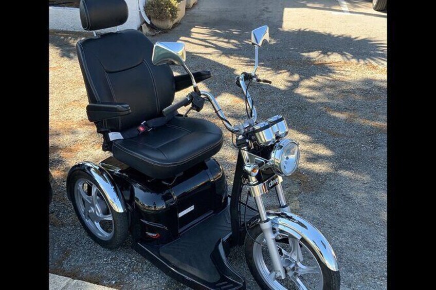 Mobility Scooter Rentals