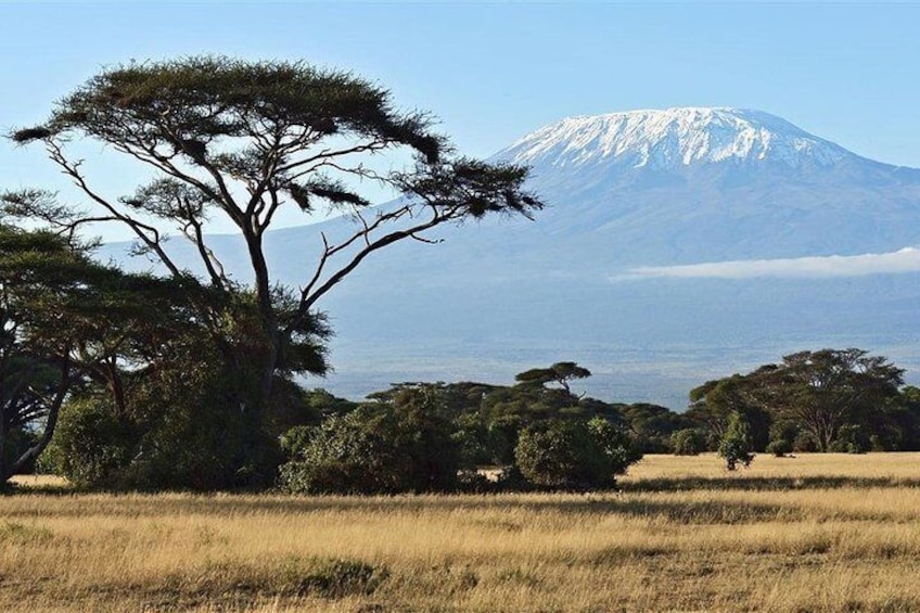 1 Day Tour to Amboseli National Park From Nairobi