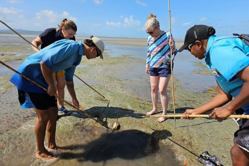 Aboriginal Fishing & Beach Day Tour+ Daintree Crocodile Cruise