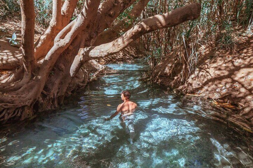 Aboriginal Fishing & Beach Day Tour+ Daintree Crocodile Cruise