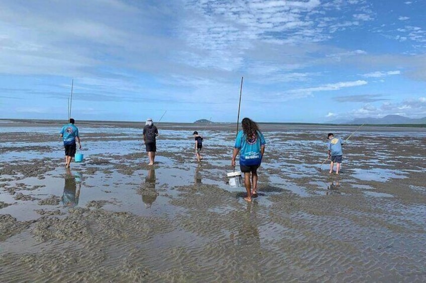 CULTURAL Beach Tour + Daintree Wildlife River Cruise