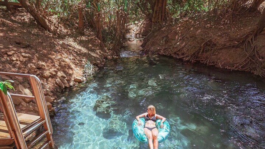 Aboriginal Fishing & Beach Day Tour+ Daintree Crocodile Cruise