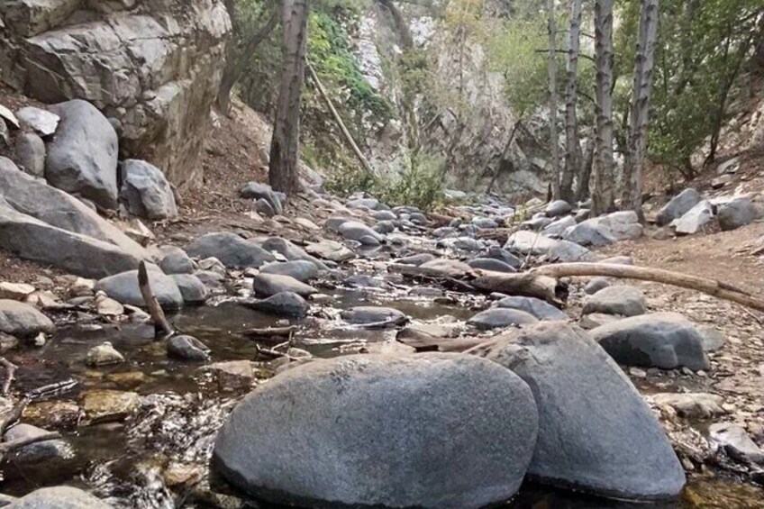 Angeles Forest Hiking Tour