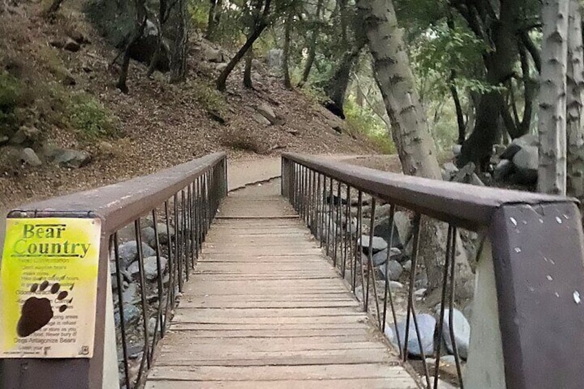 Angeles Forest Hiking Tour