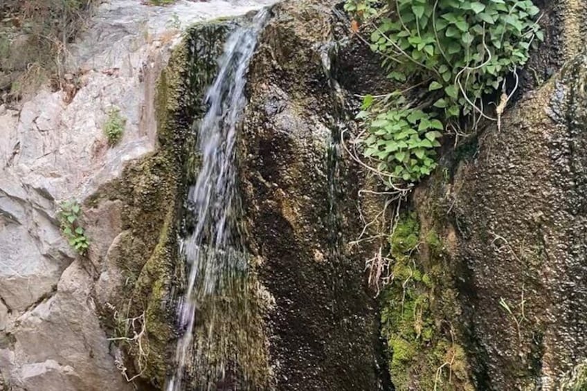 Angeles Forest Hiking Tour