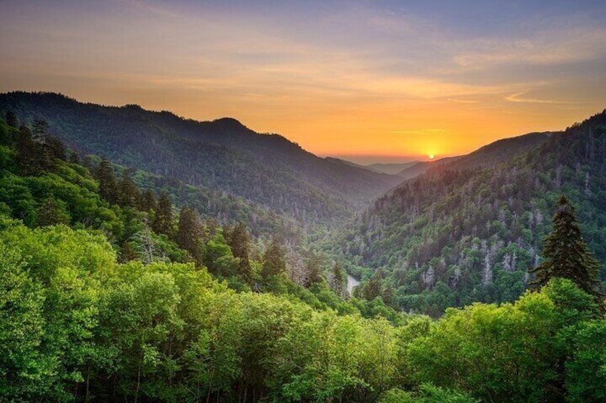 Great Smoky Mountains National Park and Cades Cove Self-Driving Bundle Tours
