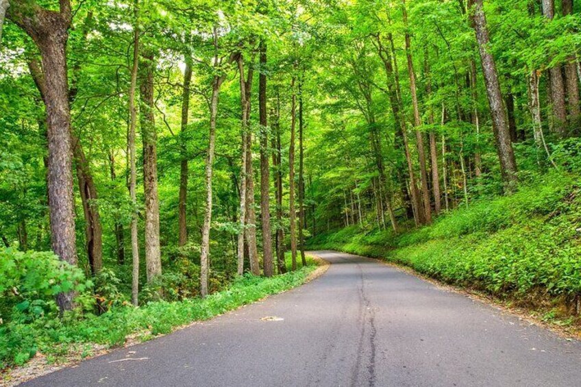 Great Smoky Mountains National Park and Cades Cove Self-Driving Bundle Tours