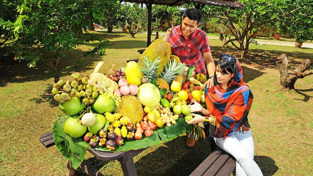 Private Tropical Fruit Farm Tour