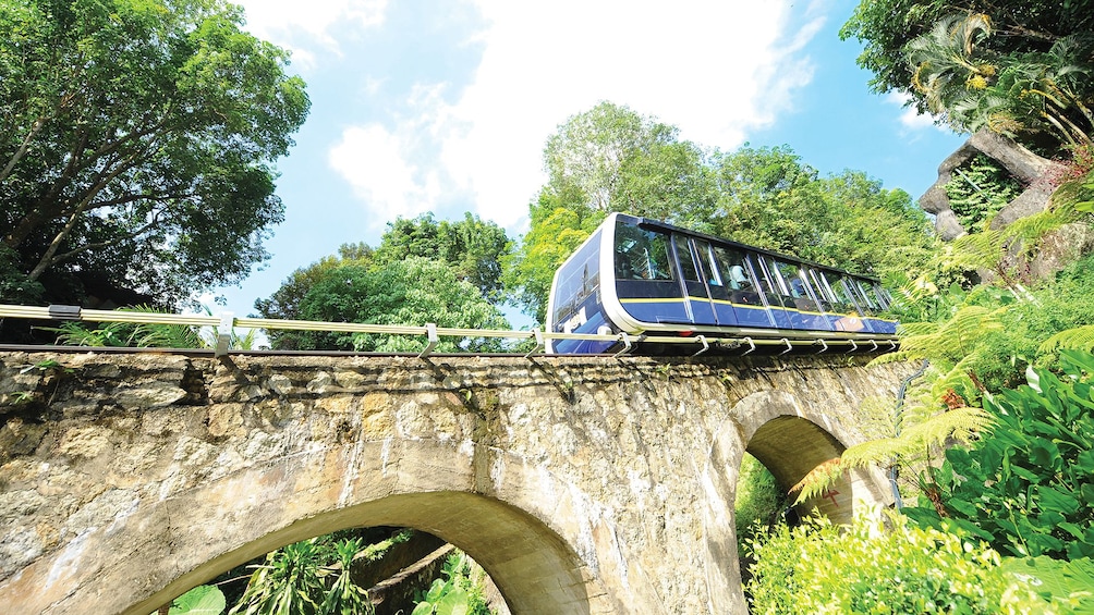 Private Penang Hill & Temple Tour