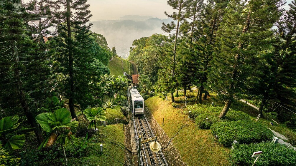 Private Penang Hill by Night Tour with Dinner