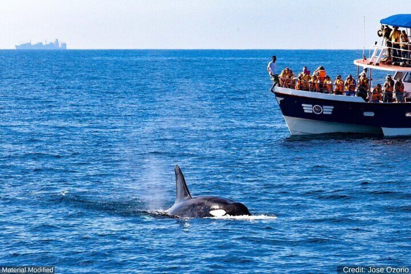 South Africa: See & Do it ALL in 12 Days, 1st Class Traveling