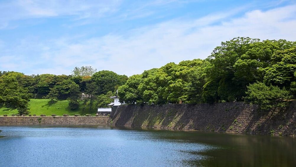 Half-Day Cruise of Tokyo with Hotel Pickup