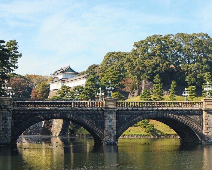 Half-Day Cruise of Tokyo with Hotel Pickup