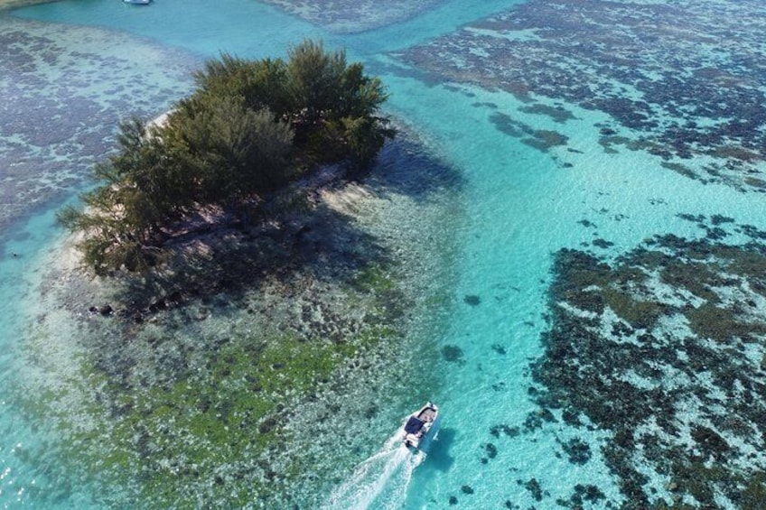 Snorkeling excursion, discovery of the lagoon and its fauna. Intimate vessel.