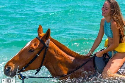Chukka Horseback Ride & Swim with Admission Pass to Ocean Outpost, Montego ...