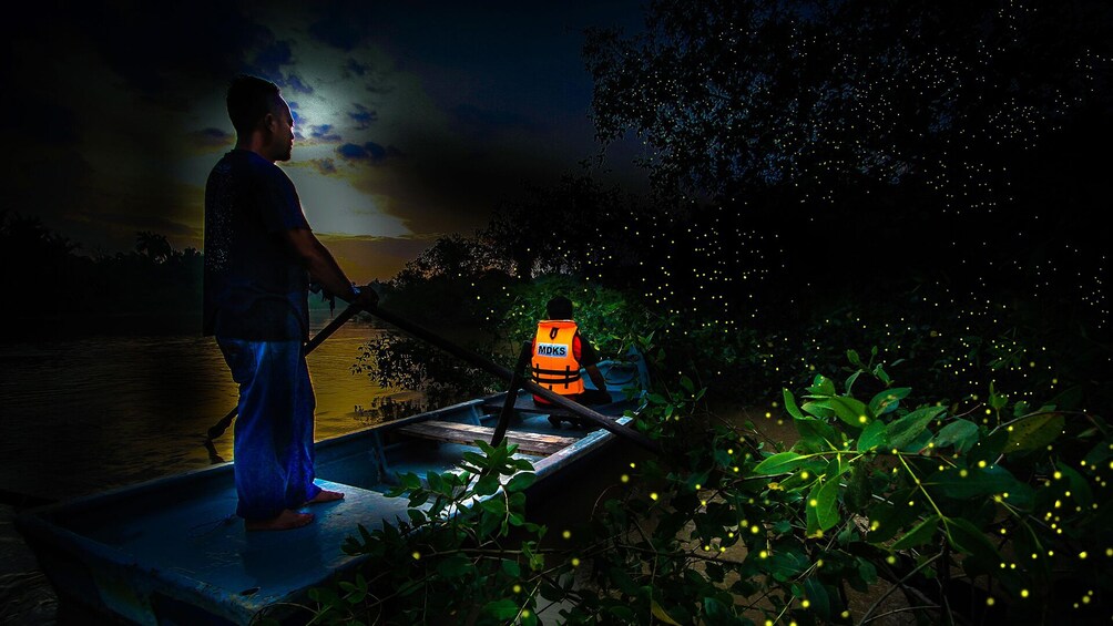 正在顯示第 5 張相片,共 7 張。 Private Fireflies Night Excursion with Dinner