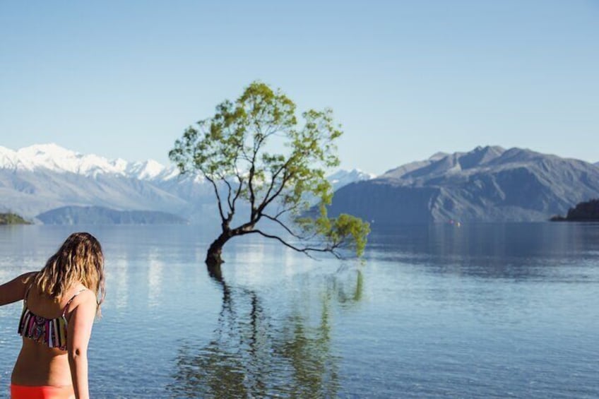 9 Day - South Island Tour (All inclusive)