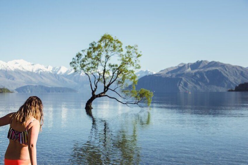 9 Day - South Island Tour (All inclusive)