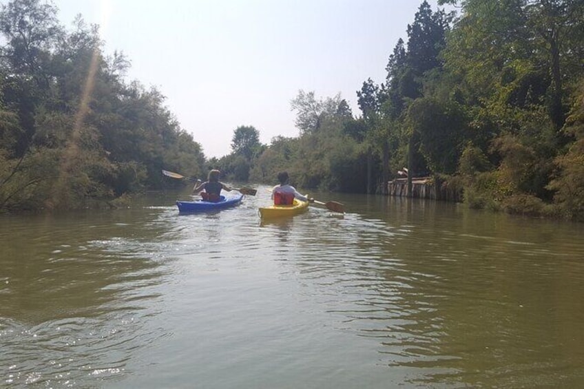 Show item 5 of 5. Private Kayak Tour in the Venetian Lagoon