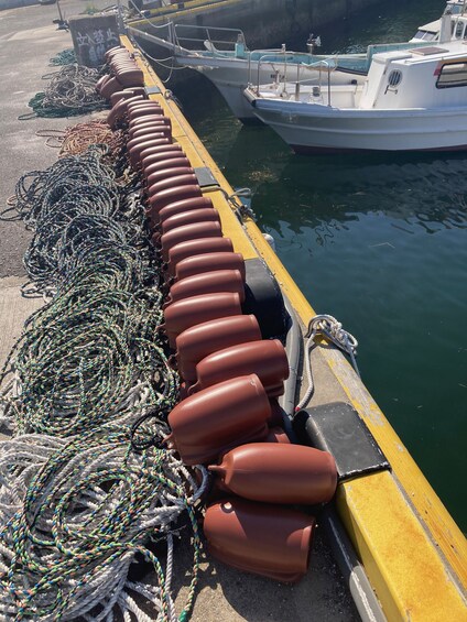 Show item 4 of 8. Octopus Pot Takotsubo Fishing and Inland Sea Cruising with L