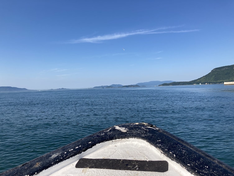 Show item 5 of 8. Octopus Pot Takotsubo Fishing and Inland Sea Cruising with L