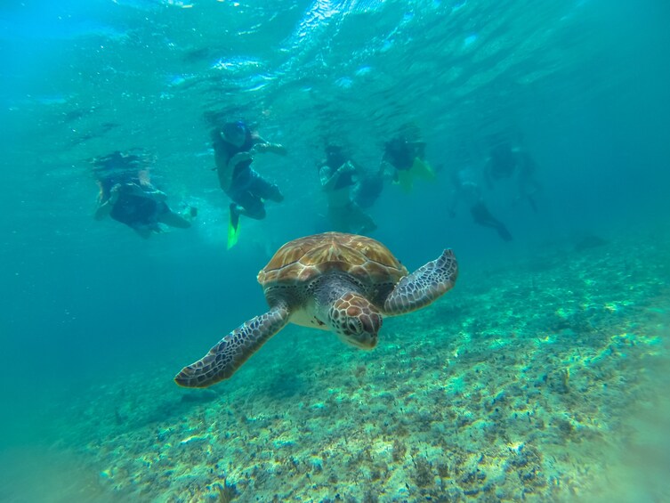 GREAT SAVING: SIAN KAAN TOUR-EXPEDITION