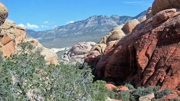 Red Rock VIP Tour