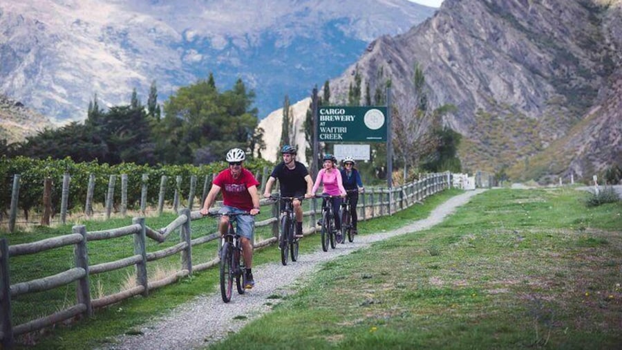 Around The Basin Bike The Wineries