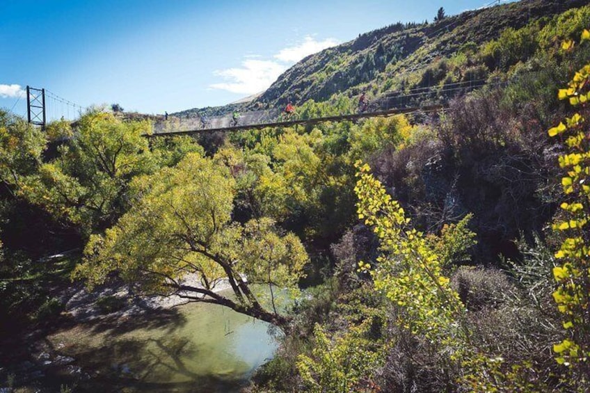 Beautiful Suspension Bridges